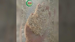 Máquina segura de serragem de madeira com proteção contra sobrecarga e parada de emergência